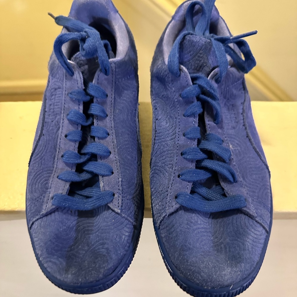 Blue pumas